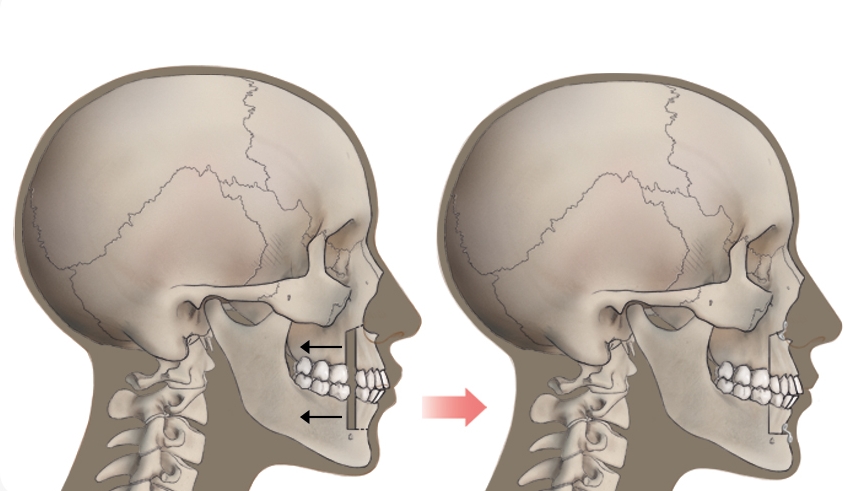 สกรีนช็อต 10 9 2024 2352 eudental.co.kr