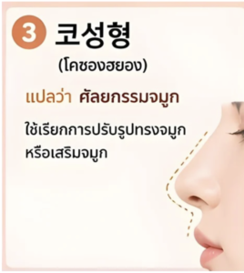 คำศัพท์ศัลยกรรมเกาหลี